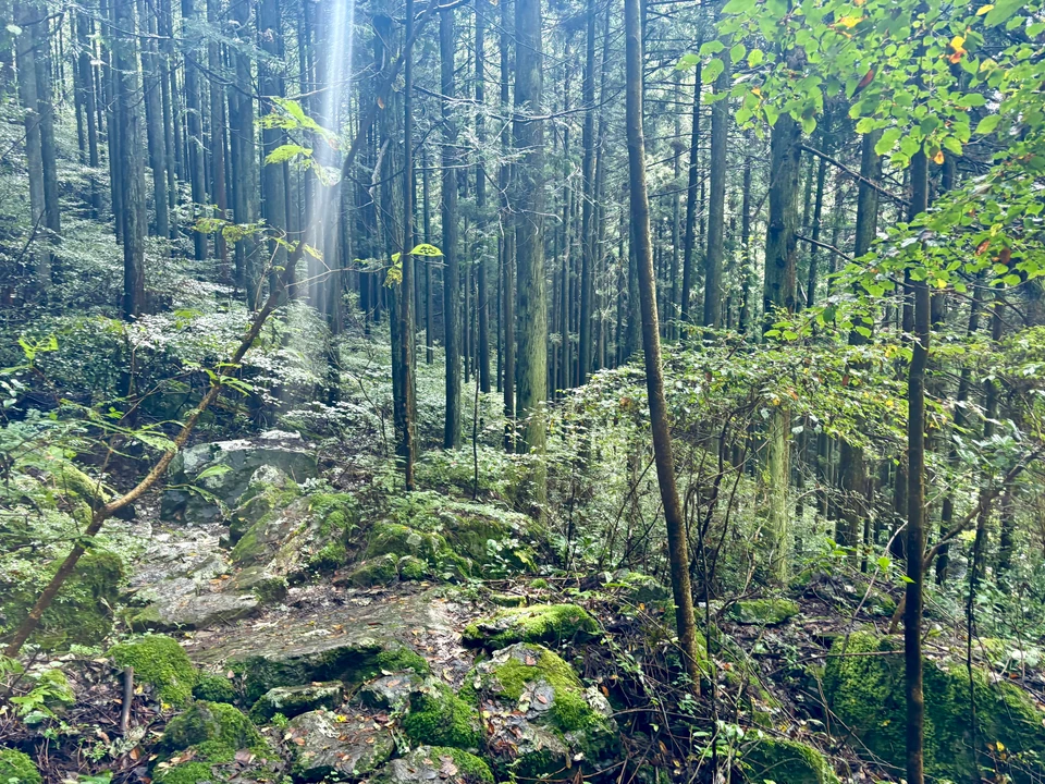 わかりにくい登山道