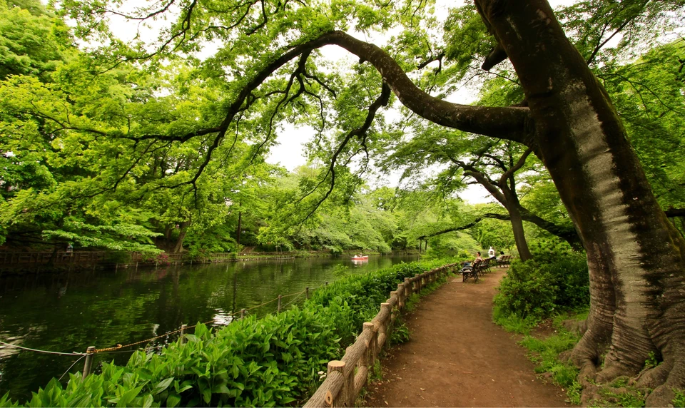 井の頭恩賜公園