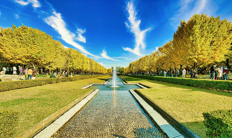 国営昭和記念公園