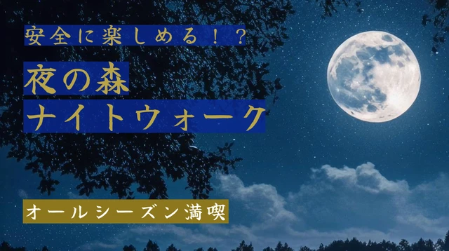  「夜の森」を安全に楽しむナイトウォーク！