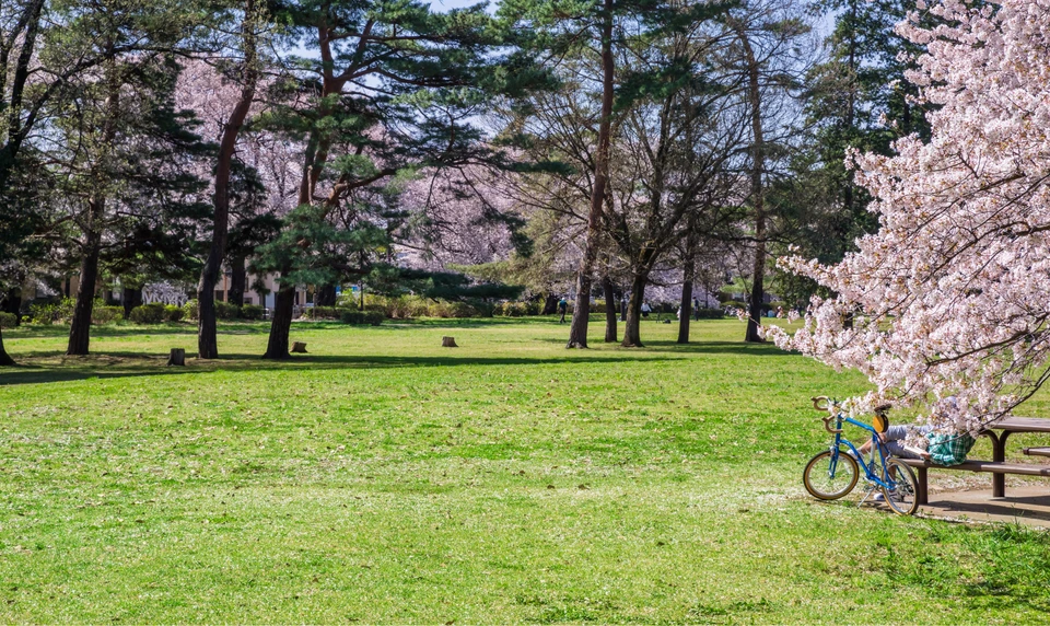 都立 野川公園