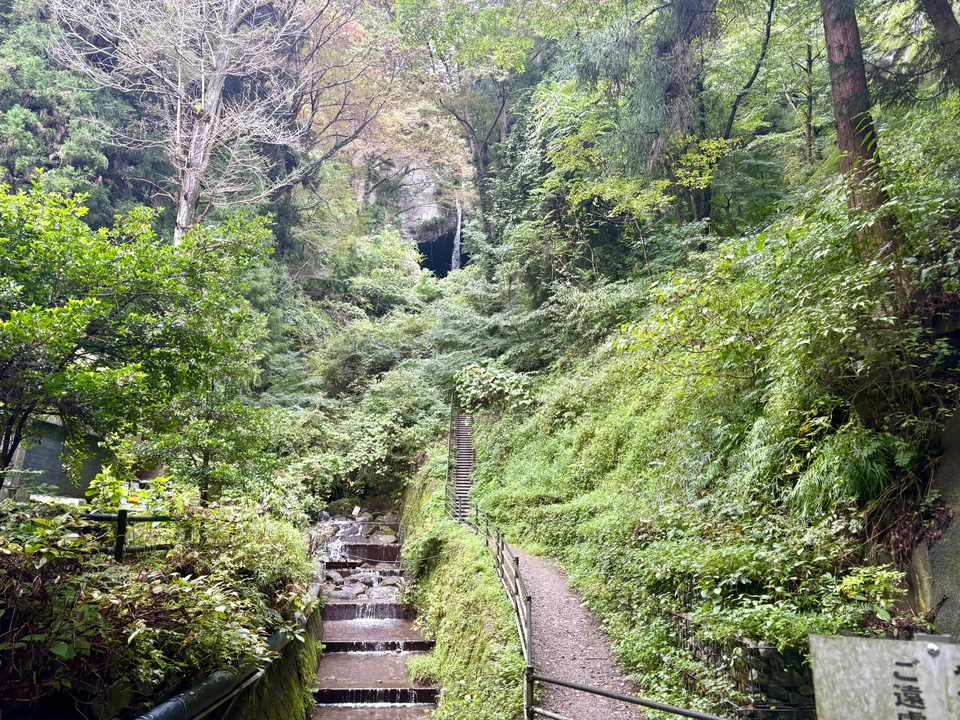 滝にむかう急登