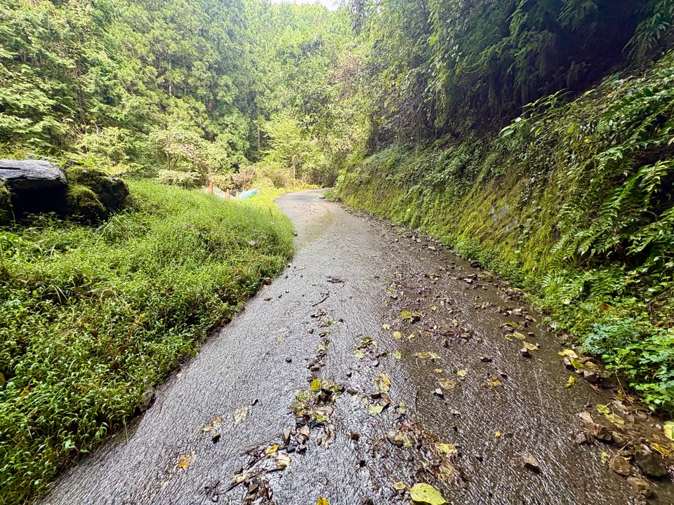 湿った急な坂